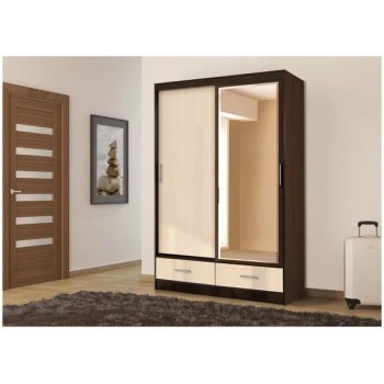 Шкаф-купе арт. 008 (1.15 м.) (Диал)